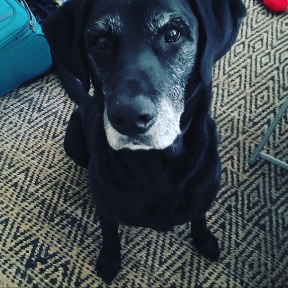 Meet your Posher, Carolyn - Picture 5 of 5